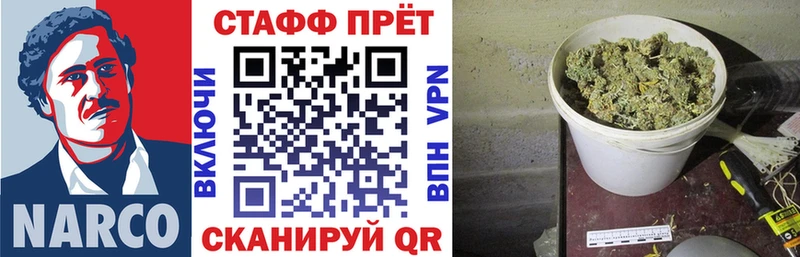 Названия наркотиков Болотное Псилоцибиновые грибы Мефедрон Альфа ПВП ГАШИШ Кокаин Канабис
