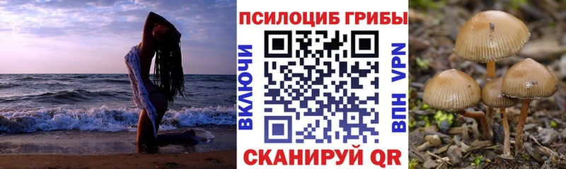 Псилоцибиновые грибы Psilocybine cubensis  кракен сайт  Болотное 
