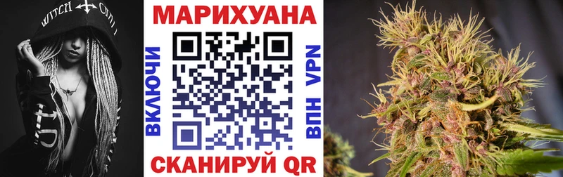 Канабис сатива  купить наркотик  ссылка на мегу рабочий сайт  Болотное 